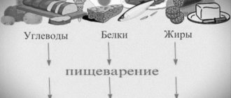 Белки, жиры, углеводы
