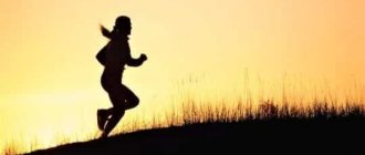 runs into the field in the morning