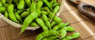 Beans