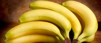 large branch of bananas