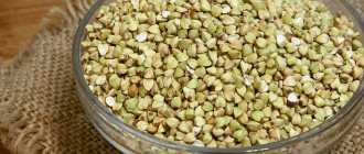 Чем полезна зеленая гречка для организма человека