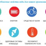 Что кушать перед тренировкой в тренажерном зале для похудения, набора массы, роста мышц