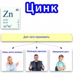 Zinc is most abundant in food. Table, norm per day for men, women, children 