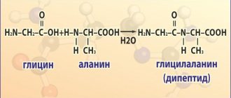 Dipeptide