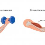 Эксцентрический тренинг – что это