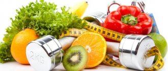 fitness diet