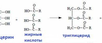 triglyceride formula