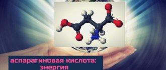 функции аспартата: энергия