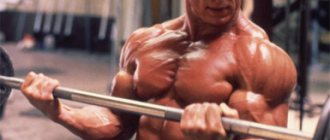 гипертрофия мышц