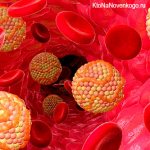 Холестерин