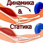 Изометрические упражнения. Комплекс для ног, шейного отдела позвоночника, спины, пресса. Как выполняются в домашних условиях