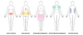 Как договориться с гормонами, которые не дают похудеть