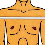 как измерить плечи