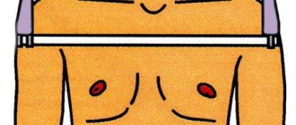 how to measure shoulders