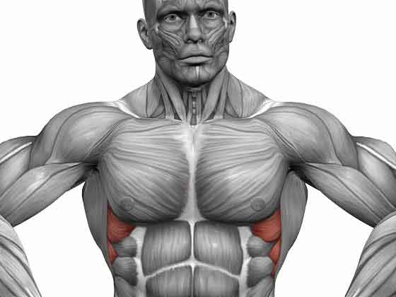 ��������� ��������: ����.