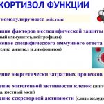 How to lower cortisol in women. Medicines, folk remedies without tablets, list, names, prices 