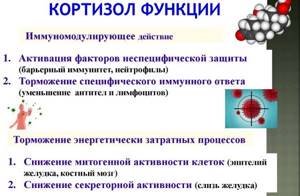 Снижаем уровень кортизола в организме у женщин и мужчин: лучшие способы ...