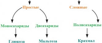 Classification of carbohydrates