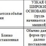Красивая, большая, маленькая женская грудь. Типы, формы и размеры. Фото