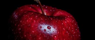 Красные яблоки. Калорийность 1 шт, на 100 г, бжу, виды, как употреблять на диете
