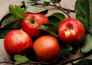 Красные яблоки. Калорийность 1 шт, на 100 г, бжу, виды, как употреблять на диете