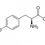 Л-тирозин: свойства, показания и правила приема