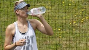 Stanoject ������ ��������: ����.