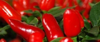 Минус 12 кг за 2 недели: меню диеты для ленивых и реальные отзывы