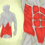 Мостик для спины тренирует мышцы кора