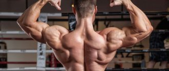 Накачанная рельефная спина