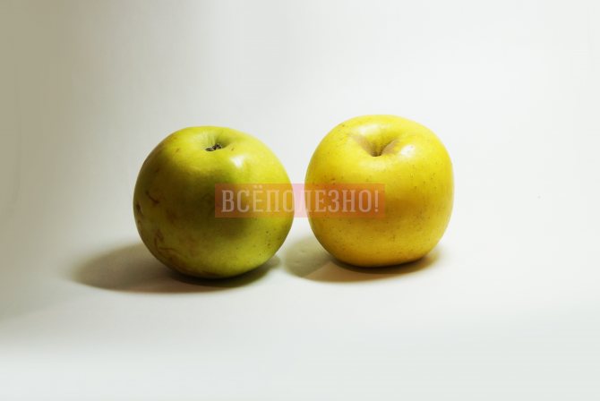Полезные свойства яблок Голден для здоровья