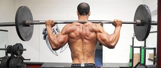 Gym workout program for men for beginners