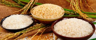Разные виды риса