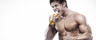 Соотношение макронутриентов