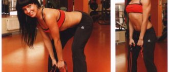 Deadlift with rubber shock absorber