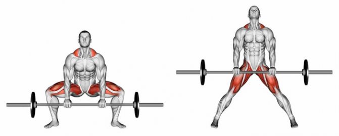 становая тяга сумо какие мышцы работают