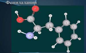 Таинственное вещество фенилаланин и его незаменимые свойства для нашего организма
