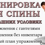 Top exercises for the back at home with dumbbells and without equipment