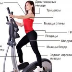 тренажер орбитрек качает абсолютно все группы мышц