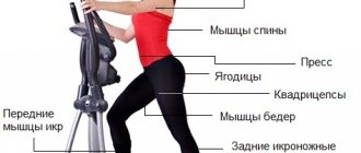 тренажер орбитрек качает абсолютно все группы мышц
