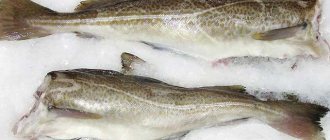 Треска для пп-котлет подходит идеально