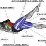 Exercise leg scissors: what muscles work, benefits, how to do