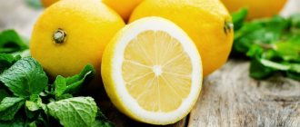 В чем содержится витамин с в большом количестве - таблица со списком продуктов